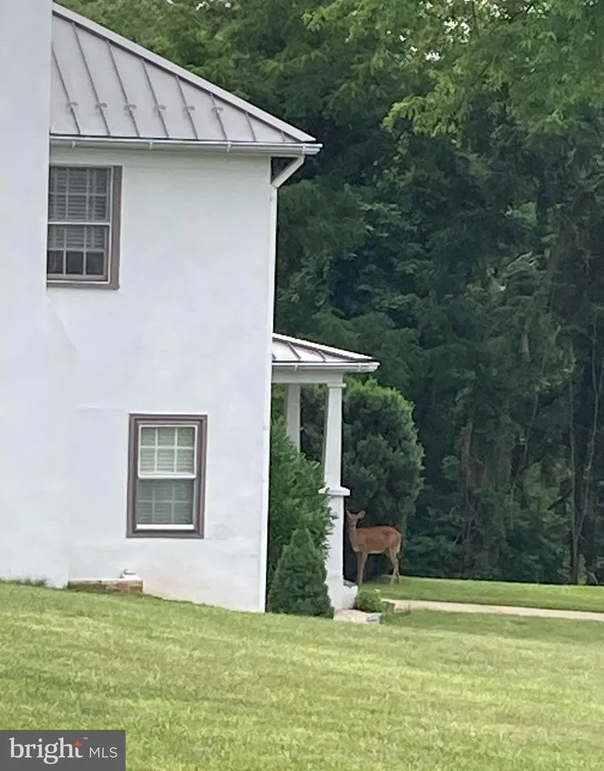 10436 JOHN S MOSBY HIGHWAY Paris, VA 20130