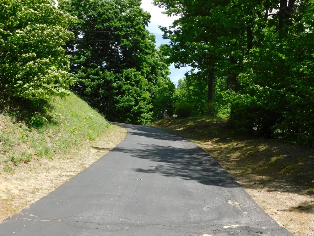 10653 Milarch Road Bear Lake Township, MI 49614