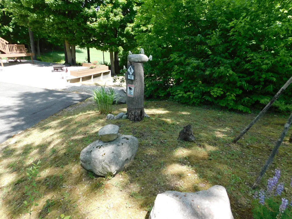10653 Milarch Road Bear Lake Township, MI 49614