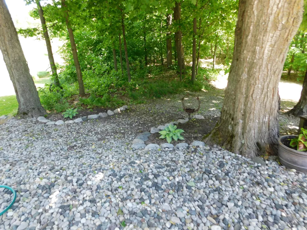 10653 Milarch Road Bear Lake Township, MI 49614