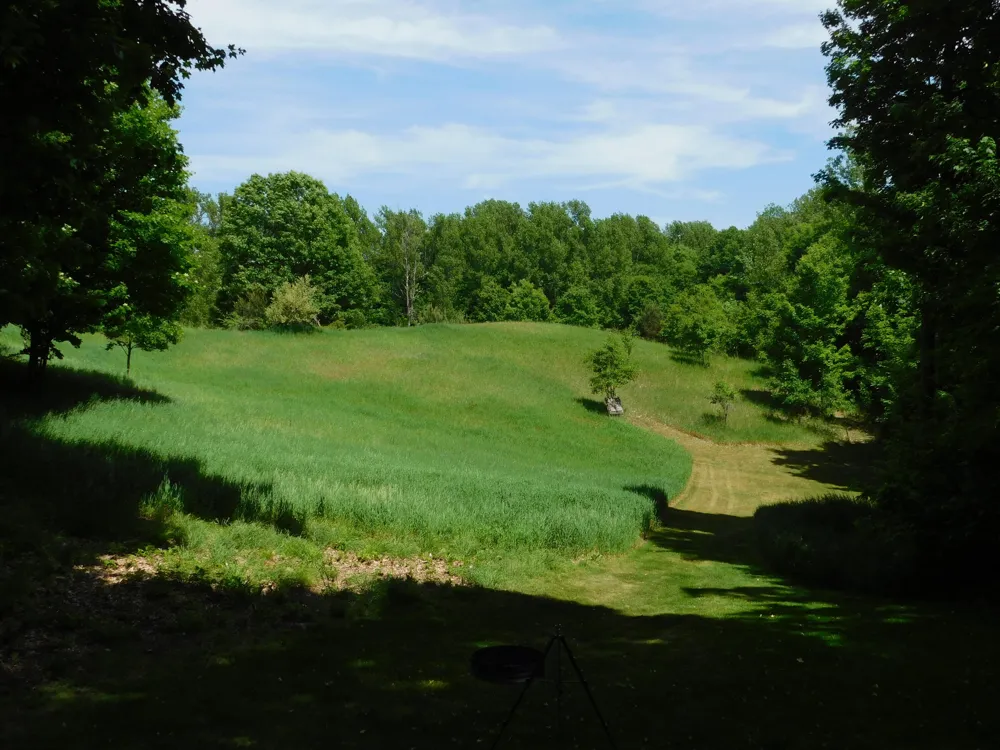 10653 Milarch Road Bear Lake Township, MI 49614