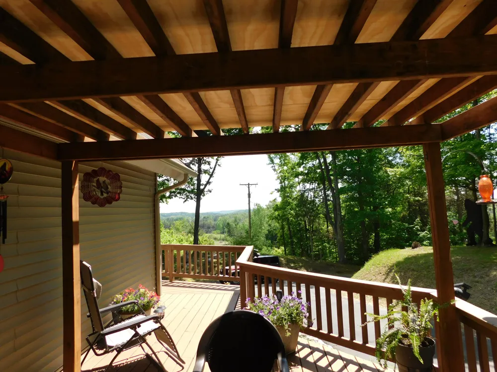 10653 Milarch Road Bear Lake Township, MI 49614