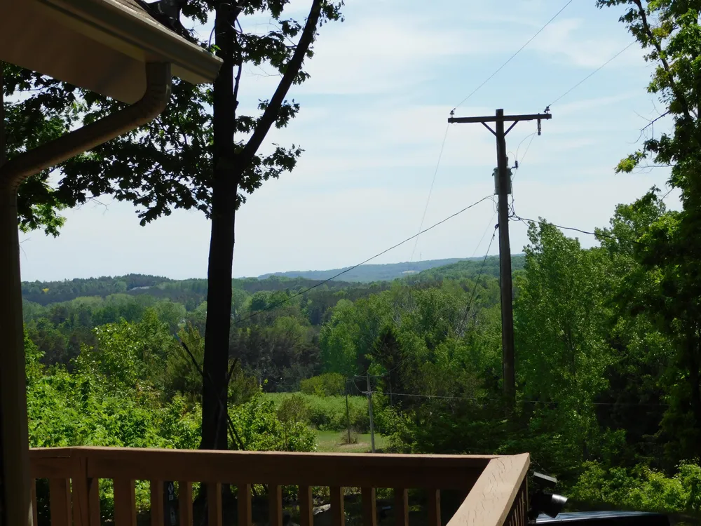 10653 Milarch Road Bear Lake Township, MI 49614