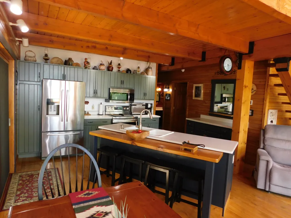 10653 Milarch Road Bear Lake Township, MI 49614