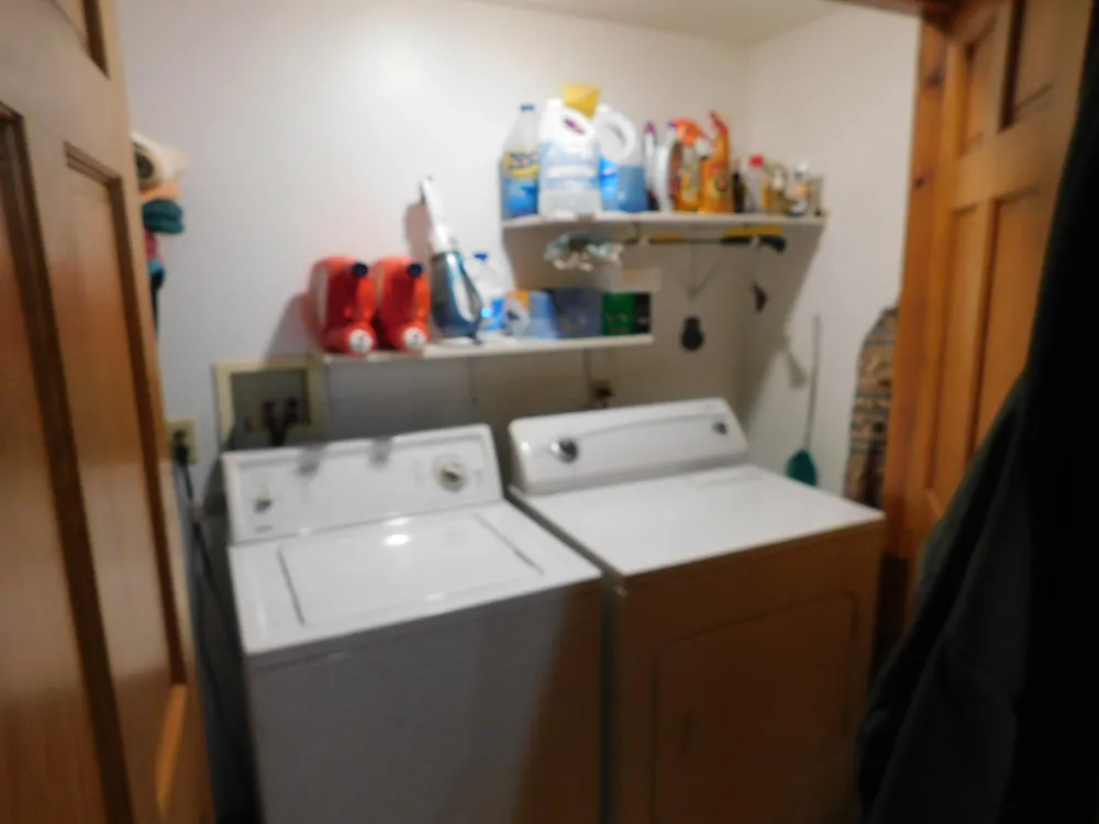 10653 Milarch Road Bear Lake Township, MI 49614