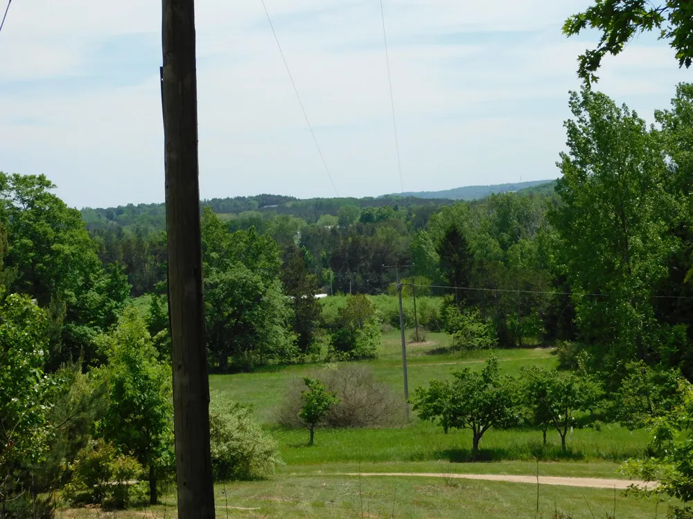 10653 Milarch Road Bear Lake Township, MI 49614