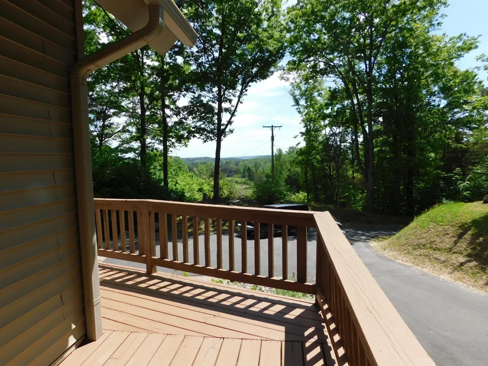 10653 Milarch Road Bear Lake Township, MI 49614