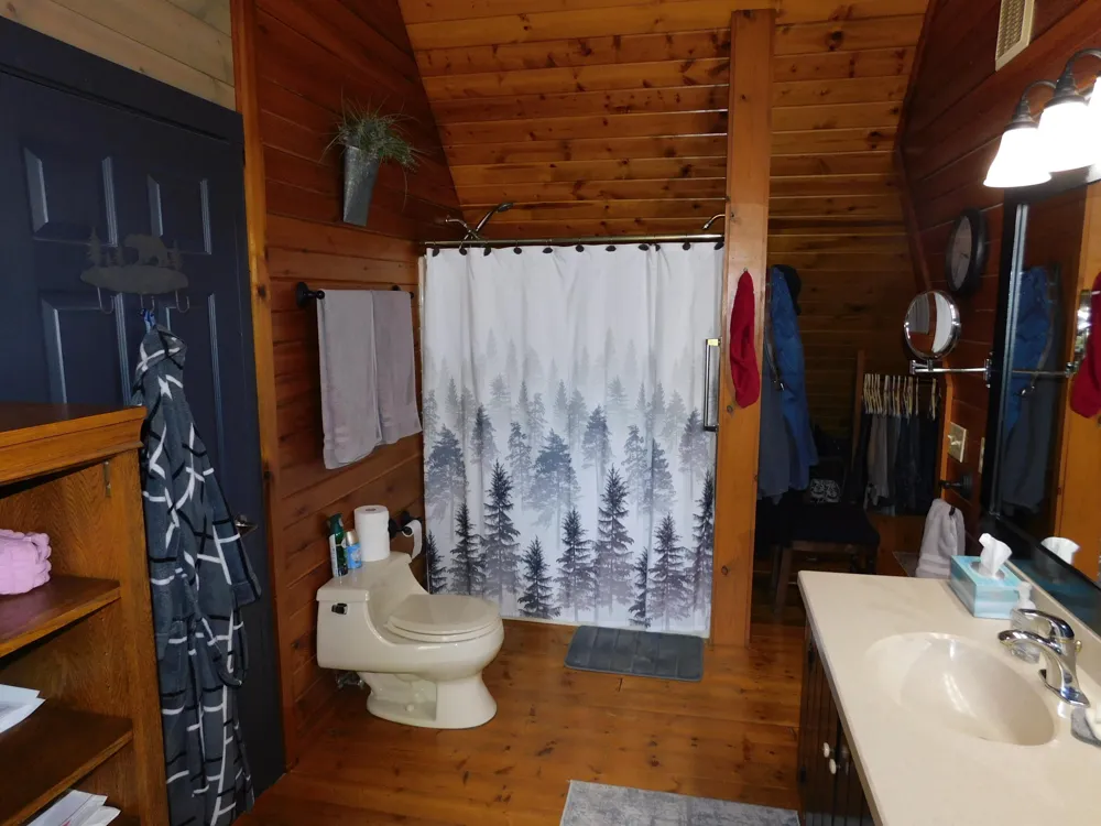 10653 Milarch Road Bear Lake Township, MI 49614