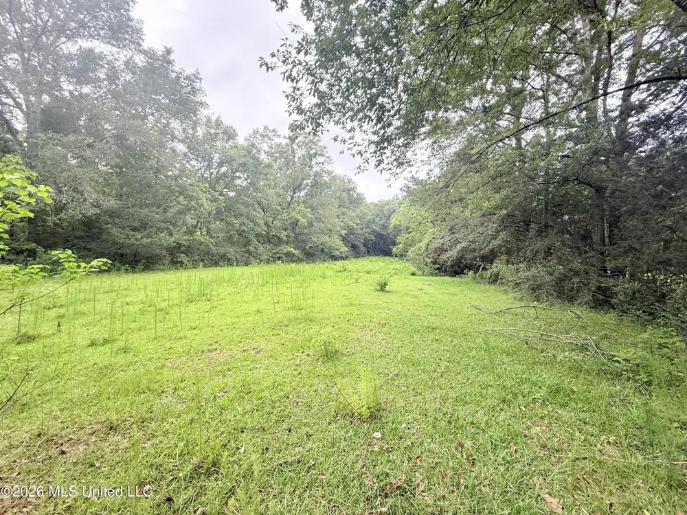1015 Highway 51 Summit, MS 39666