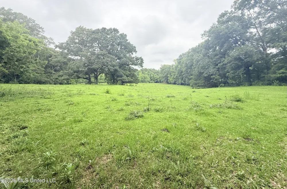 1015 Highway 51 Summit, MS 39666