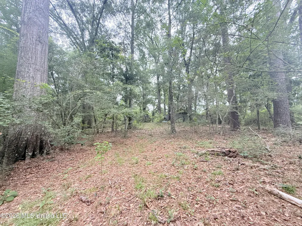 1015 Highway 51 Summit, MS 39666
