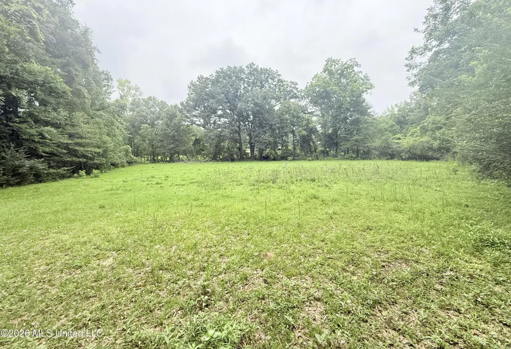 1015 Highway 51 Summit, MS 39666