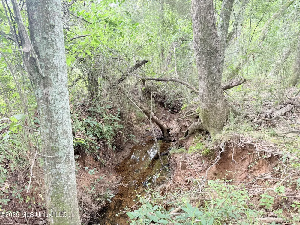 1015 Highway 51 Summit, MS 39666
