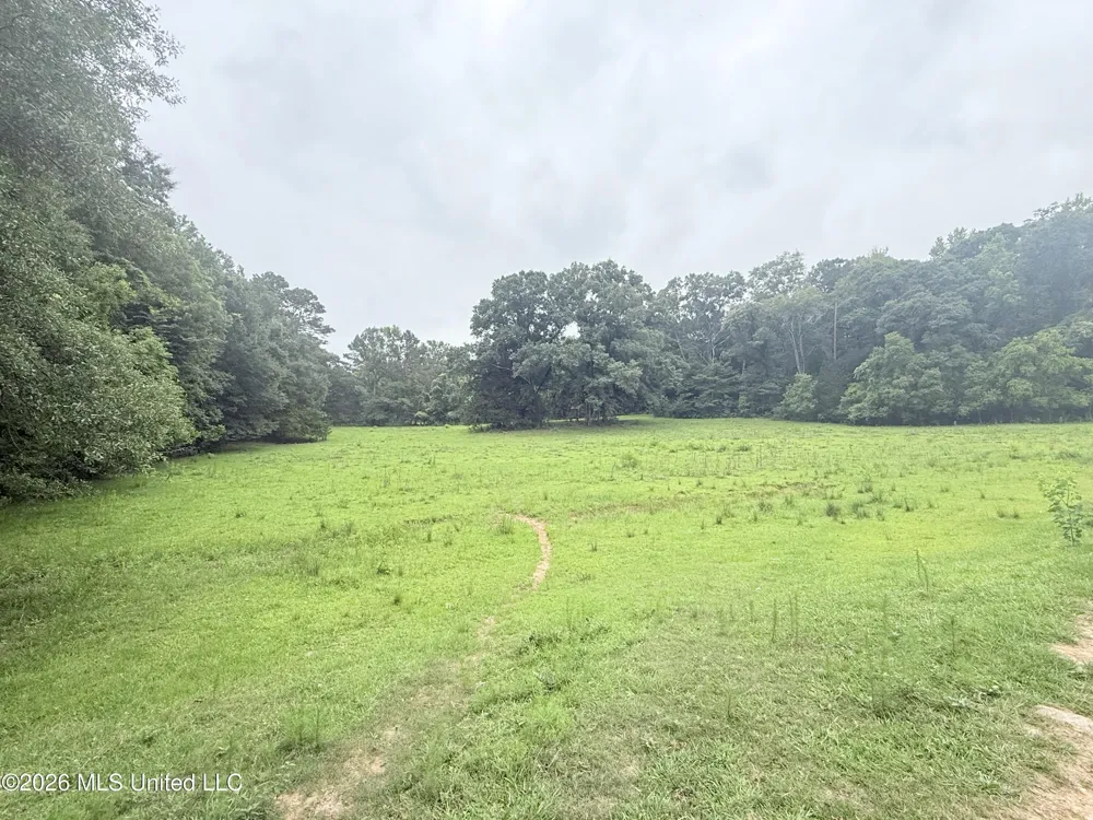 1015 Highway 51 Summit, MS 39666