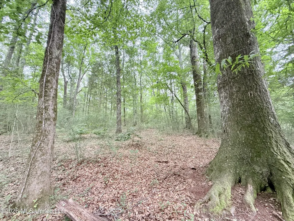 1015 Highway 51 Summit, MS 39666