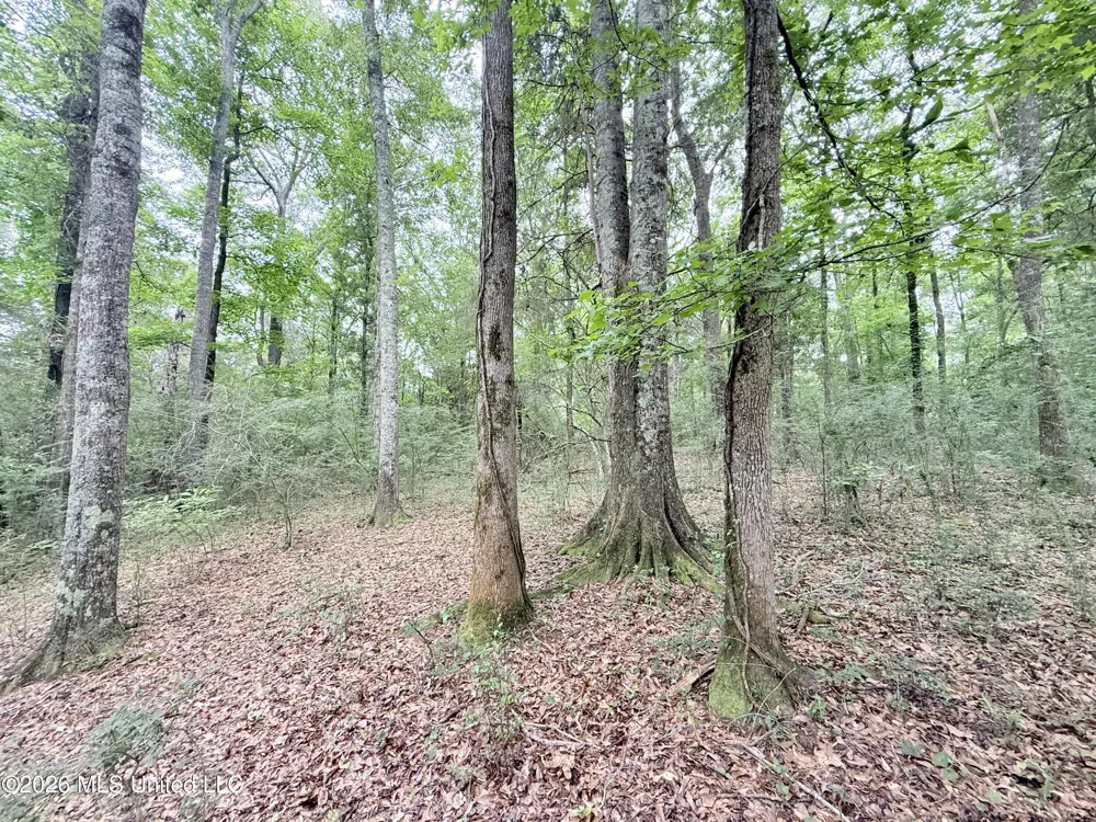 1015 Highway 51 Summit, MS 39666
