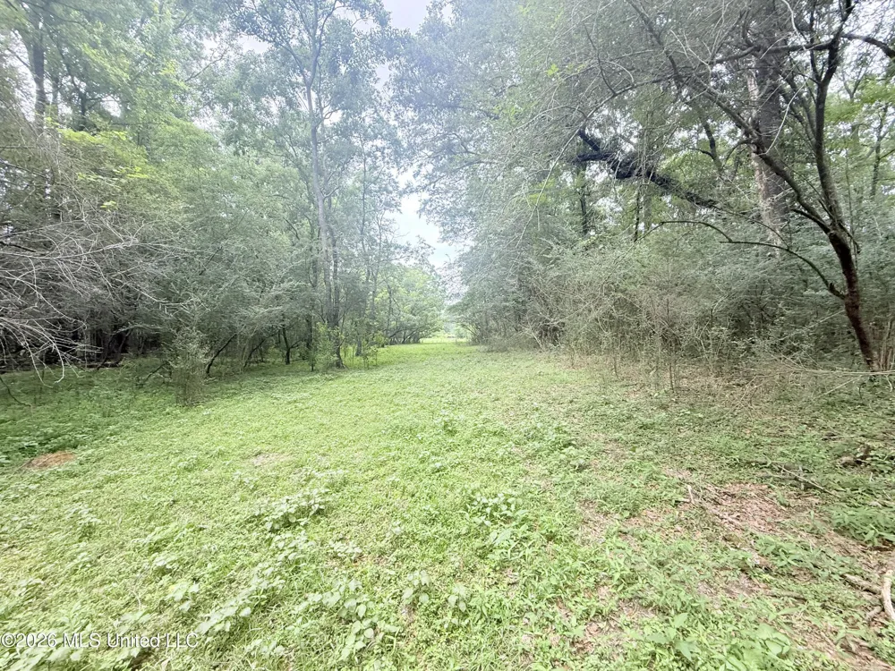1015 Highway 51 Summit, MS 39666