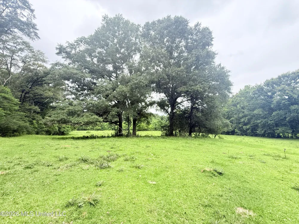 1015 Highway 51 Summit, MS 39666