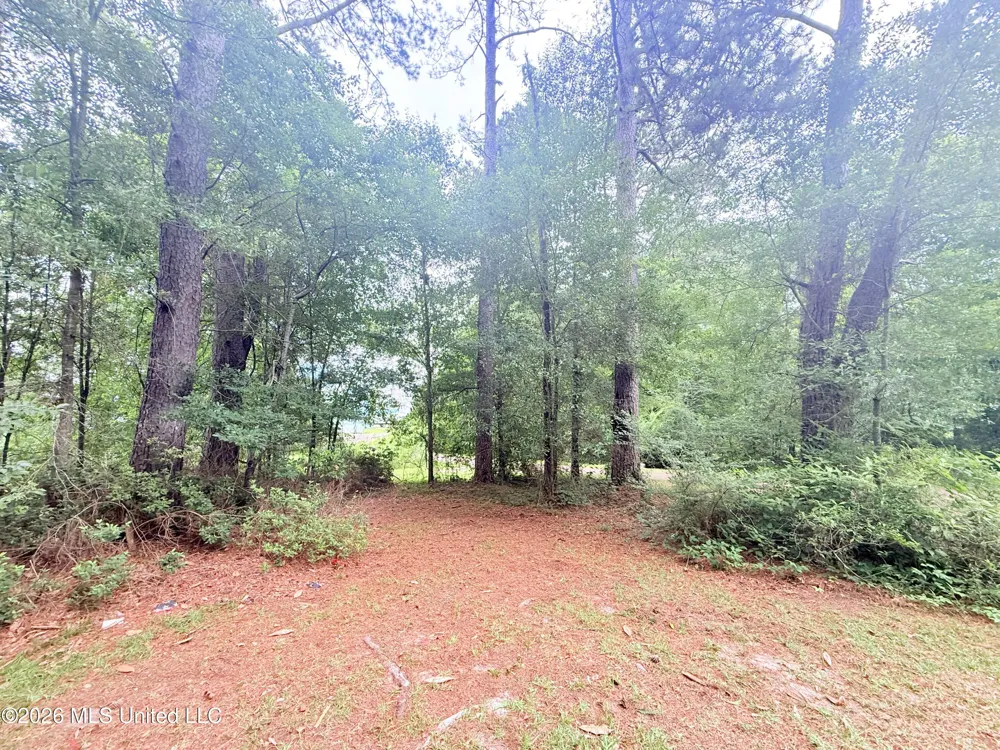 1015 Highway 51 Summit, MS 39666