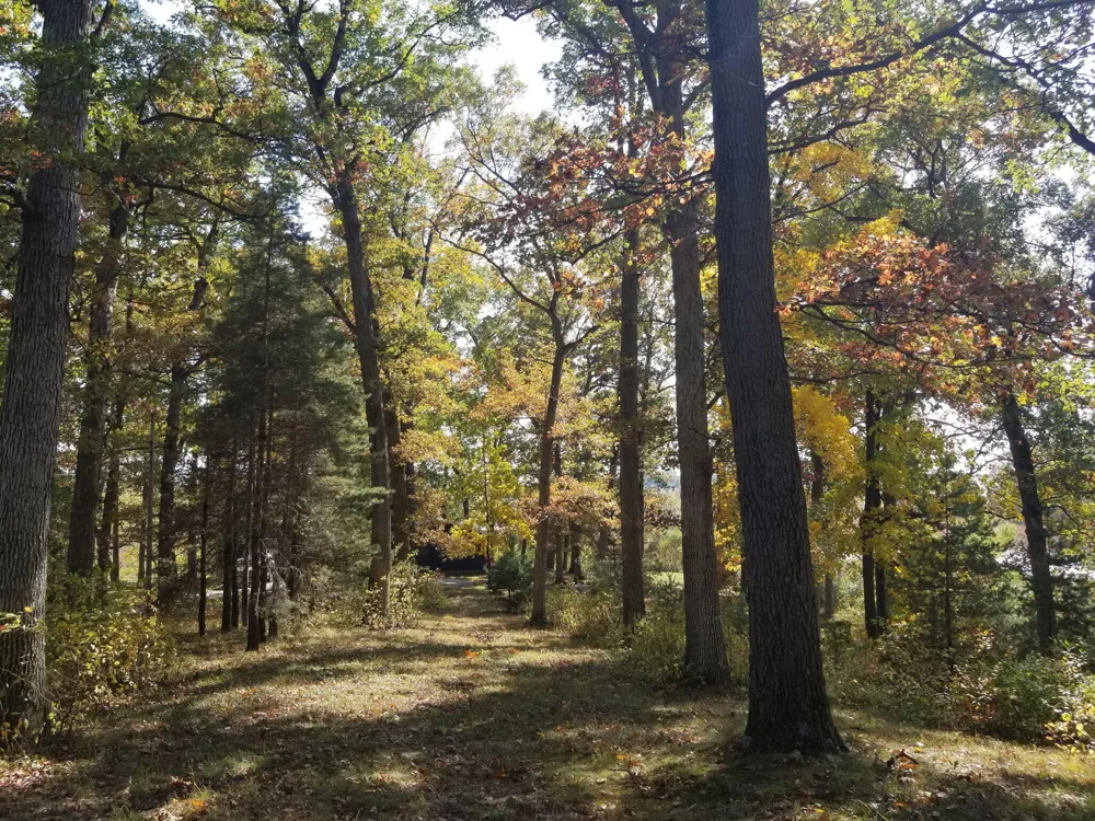 5770 W US Highway 12 Bertrand Township, MI 49107