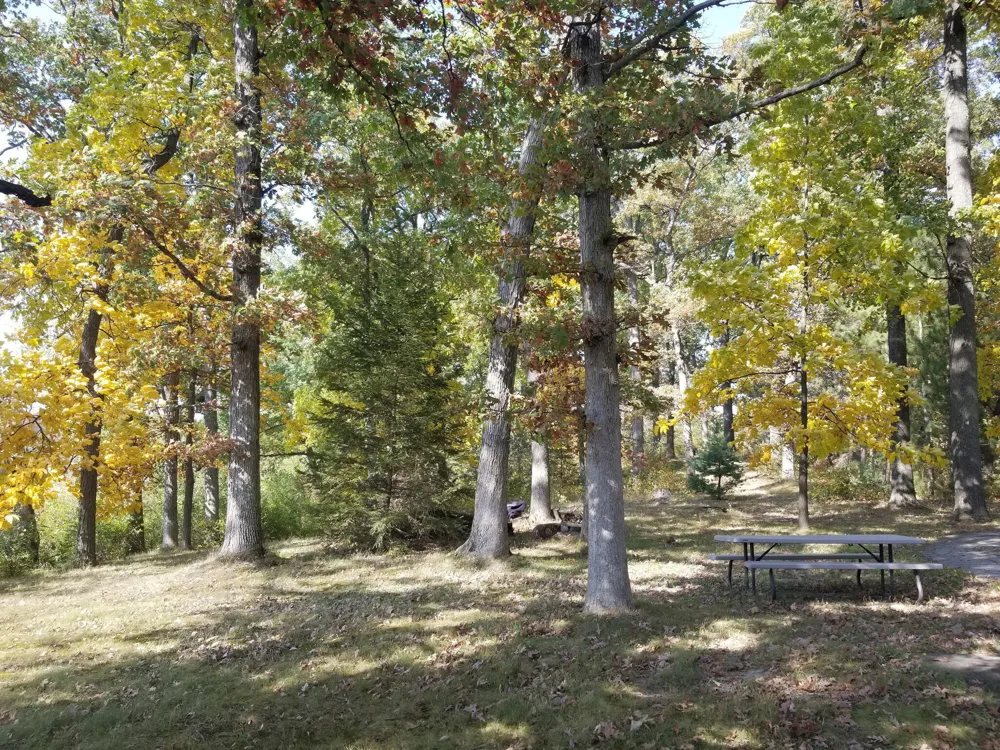 5770 W US Highway 12 Bertrand Township, MI 49107