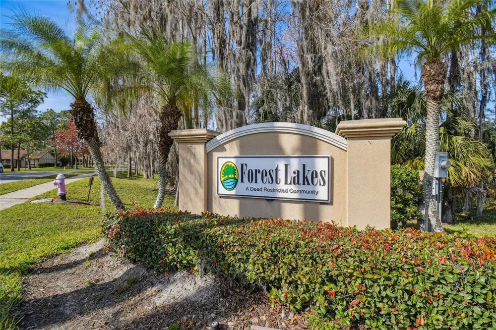 133 SABAL COURT #G Oldsmar, FL 34677