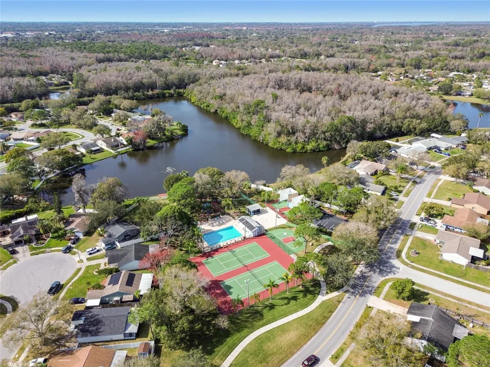 133 SABAL COURT #G Oldsmar, FL 34677