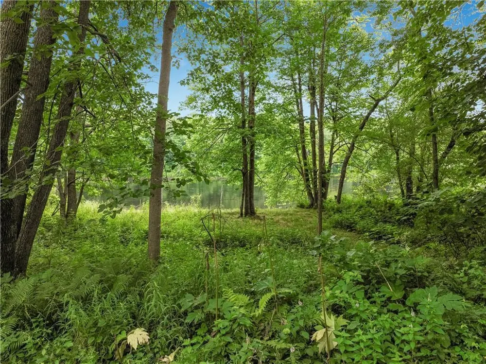N2204 County Road E Bruce, WI 54819