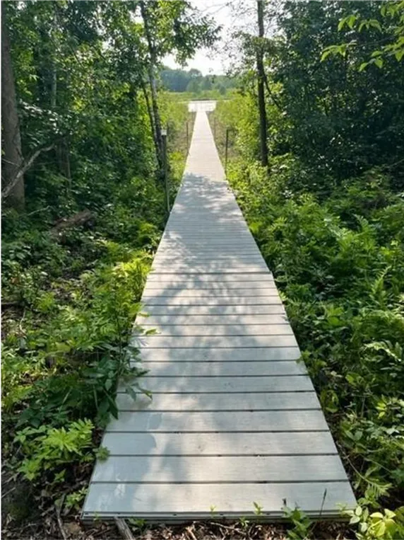 Lot 4 Tiger Street NW Princeton, MN 55371