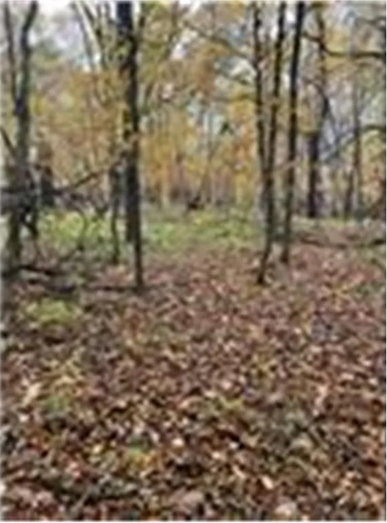 Lot 4 Tiger Street NW Princeton, MN 55371