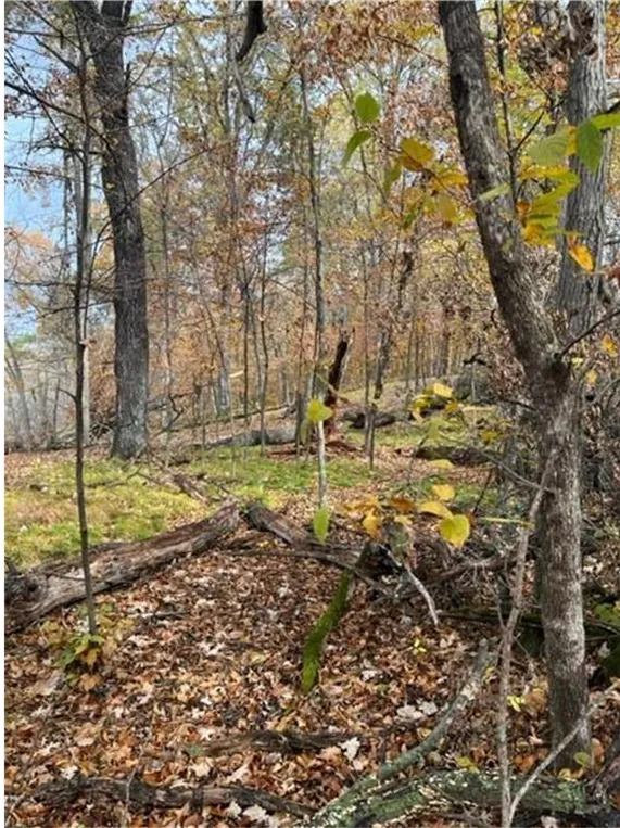 Lot 4 Tiger Street NW Princeton, MN 55371