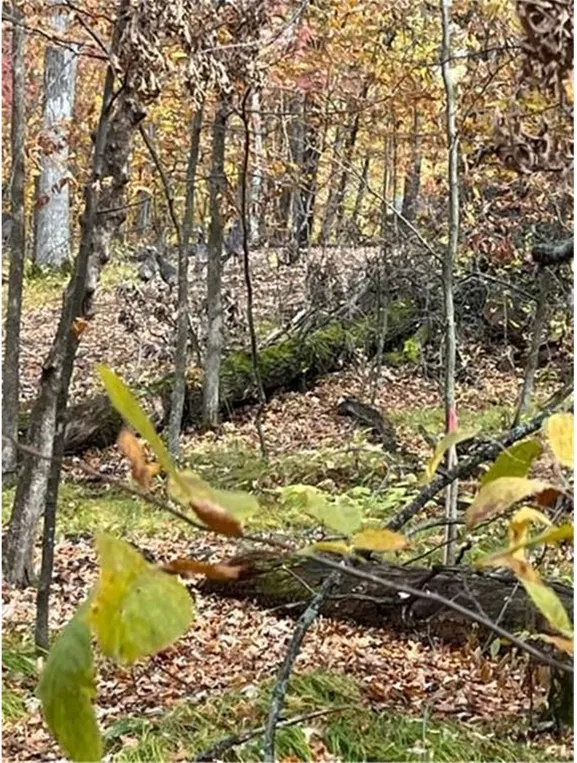 Lot 4 Tiger Street NW Princeton, MN 55371