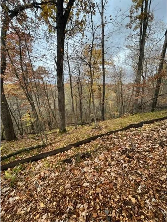 Lot 4 Tiger Street NW Princeton, MN 55371