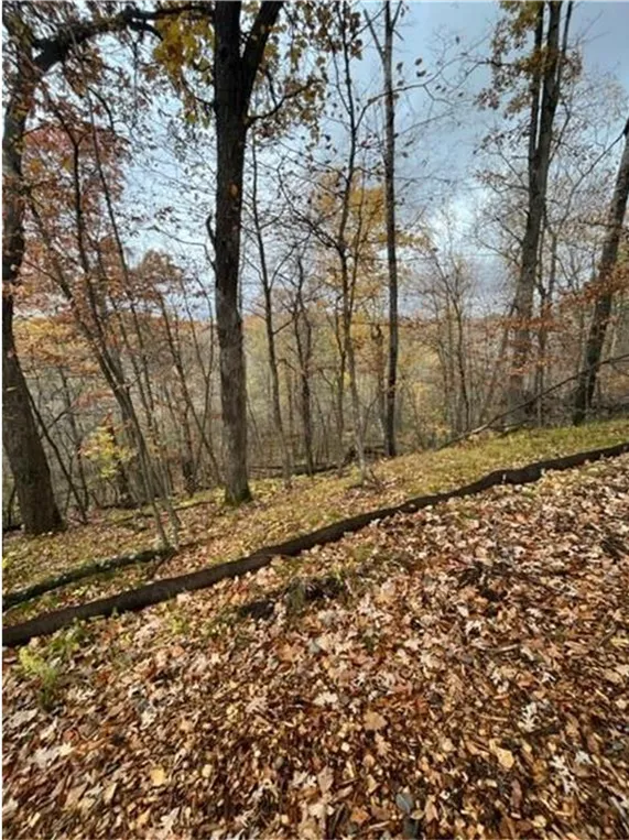 Lot 4 Tiger Street NW Princeton, MN 55371