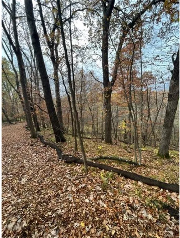 Lot 4 Tiger Street NW Princeton, MN 55371