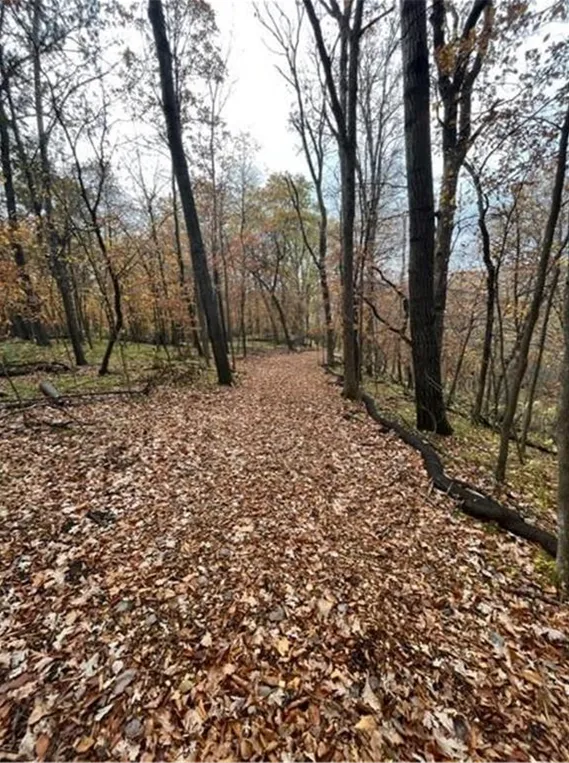 Lot 4 Tiger Street NW Princeton, MN 55371