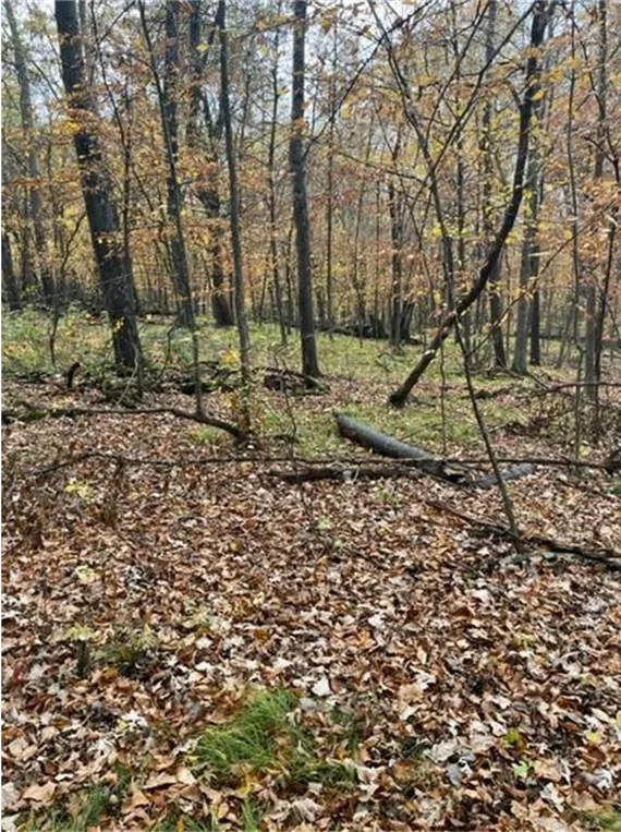 Lot 4 Tiger Street NW Princeton, MN 55371