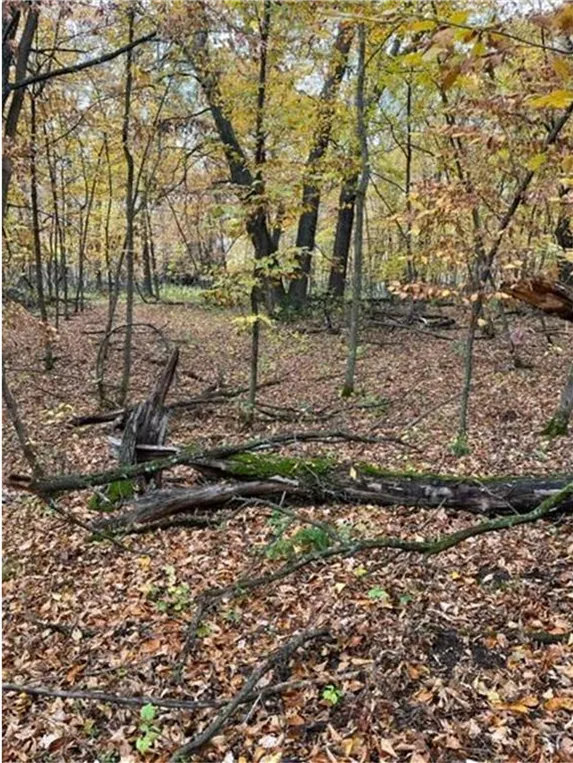 Lot 4 Tiger Street NW Princeton, MN 55371