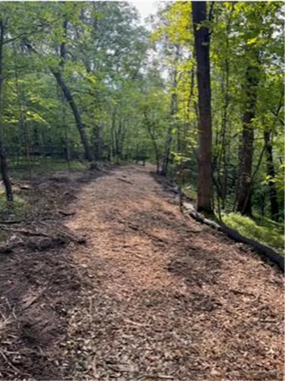 Lot 4 Tiger Street NW Princeton, MN 55371