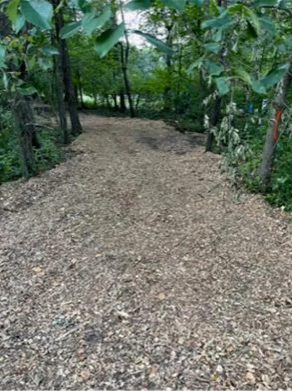 Lot 4 Tiger Street NW Princeton, MN 55371