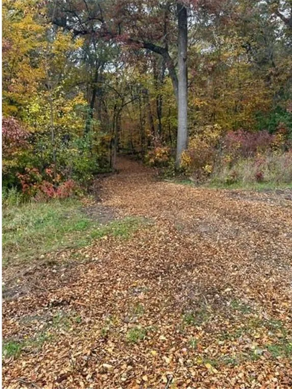 Lot 4 Tiger Street NW Princeton, MN 55371