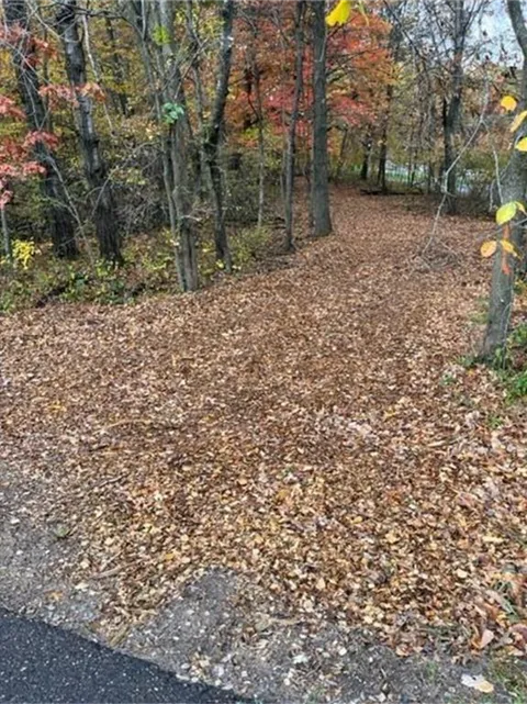 Lot 4 Tiger Street NW