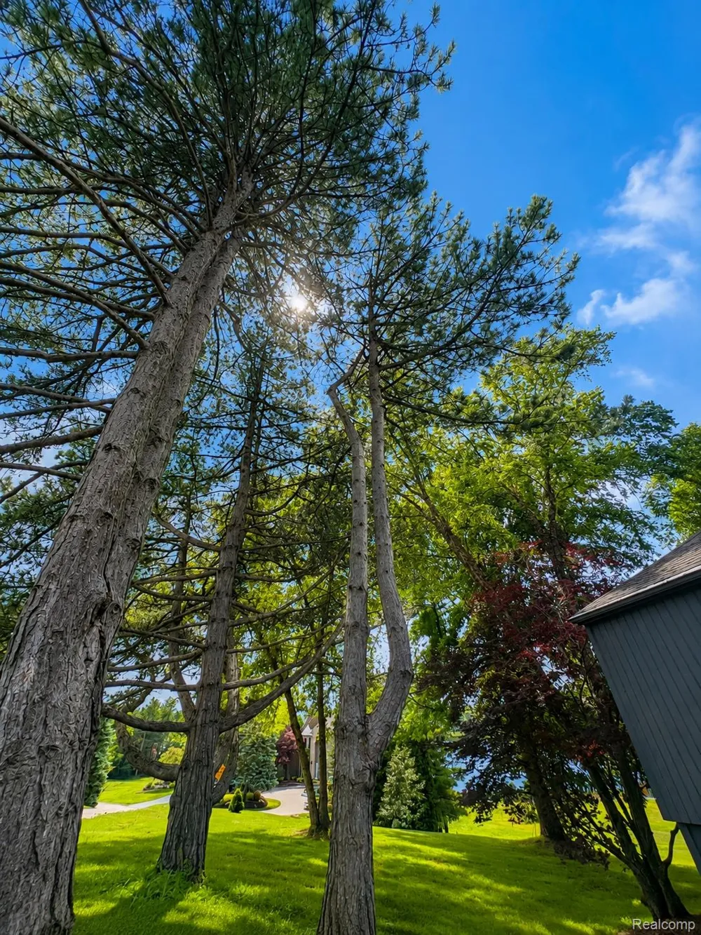 2501 Doleman Drive West Bloomfield Charter Township, MI 48324