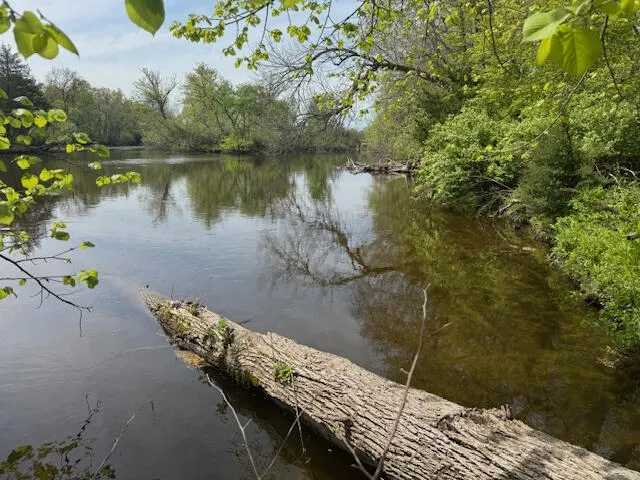 879 Flat River Court SE Lowell, MI 49331
