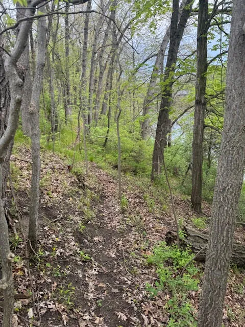 879 Flat River Court SE Lowell, MI 49331
