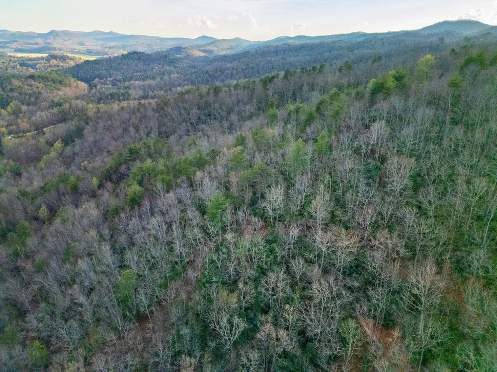 410 Forest Lake Road Brevard, NC 28712