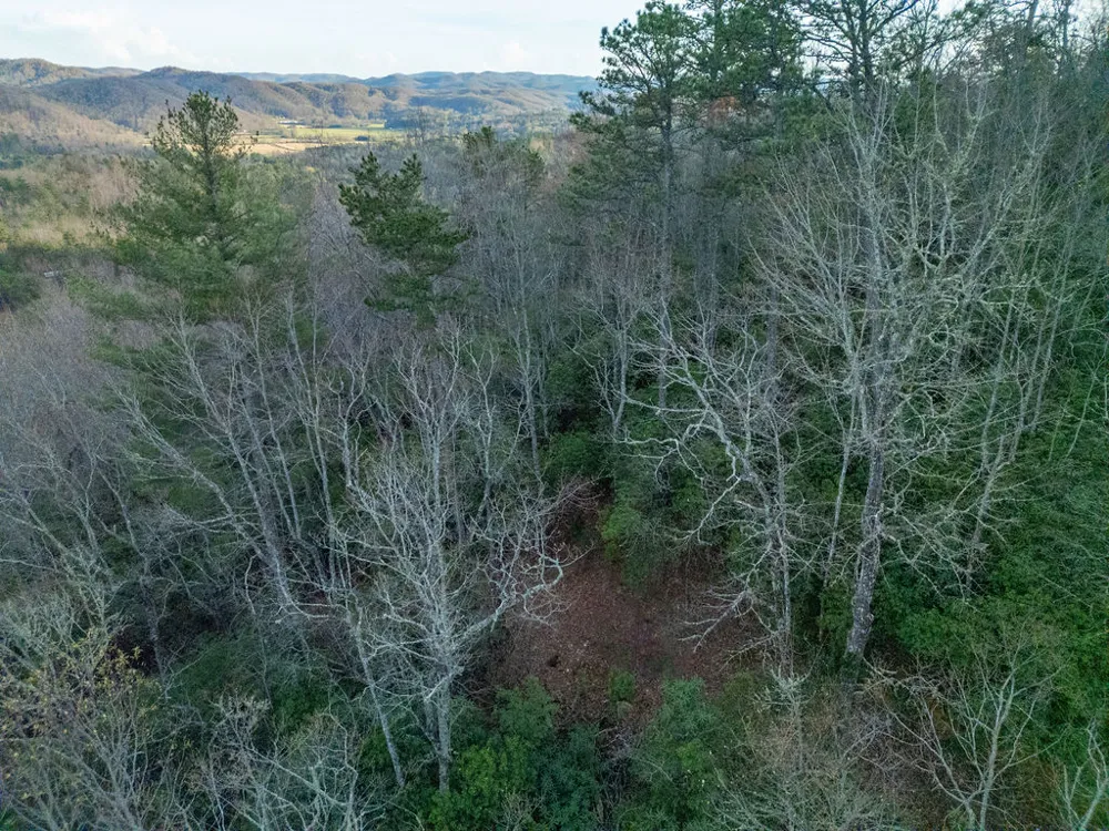 410 Forest Lake Road Brevard, NC 28712