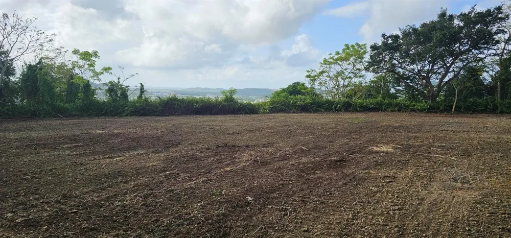 MABO Humacao, PR 00791