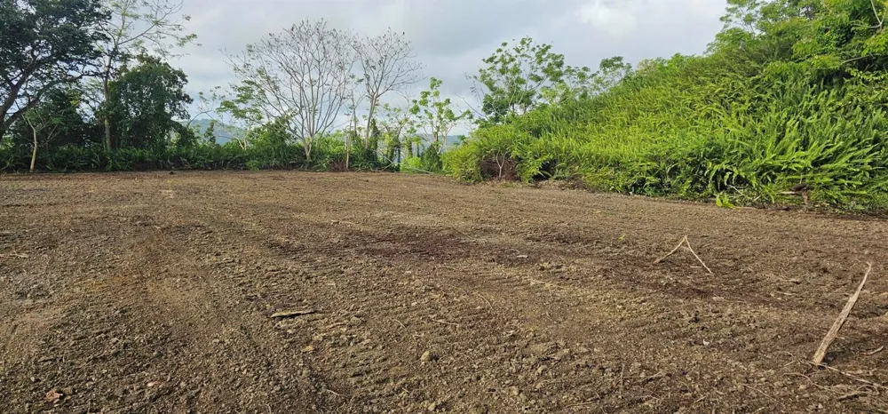 MABO Humacao, PR 00791