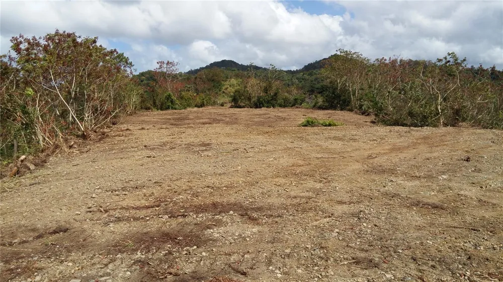 MABO Humacao, PR 00791
